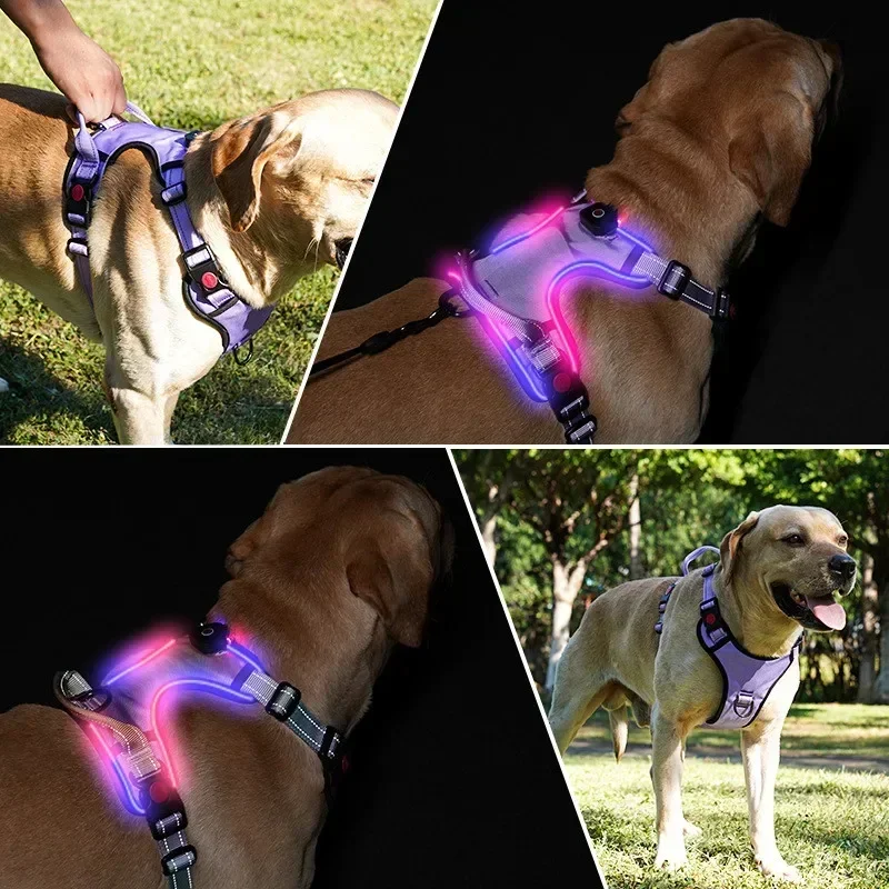 

Rechargeable Dog Harness Luminous Light Pet USB LED Adjustable Collar Glowing Safety Night