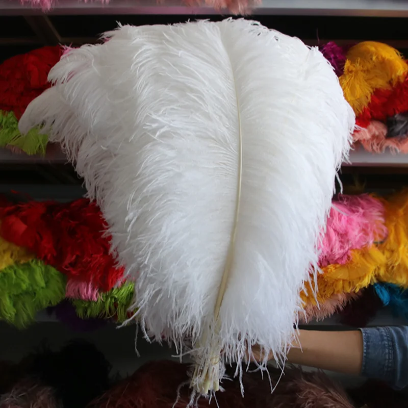 Wholesale Beautiful White Ostrich Feathers Bulk 15-55cm Diy Crafts Wedding  Party Dress Handmade Home Decor Lamp Plumes Accessory - AliExpress