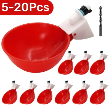 Poultry Drinking Cups 1