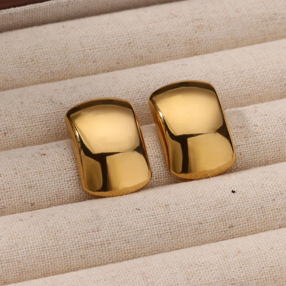 Chunky Dome Stainless Steel Stud Earrings for Women