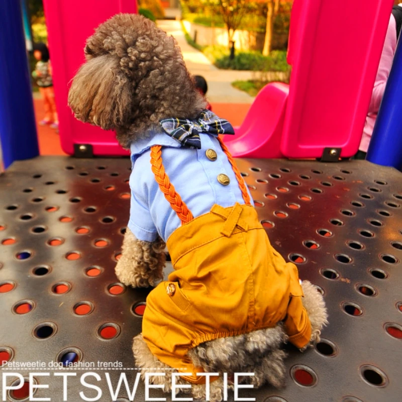 Vestiti Per Cani Pantaloni Con Cinturino Per Animali Domestici A Quattro Zampe Per Cani Vip Bears Teddy Autumn