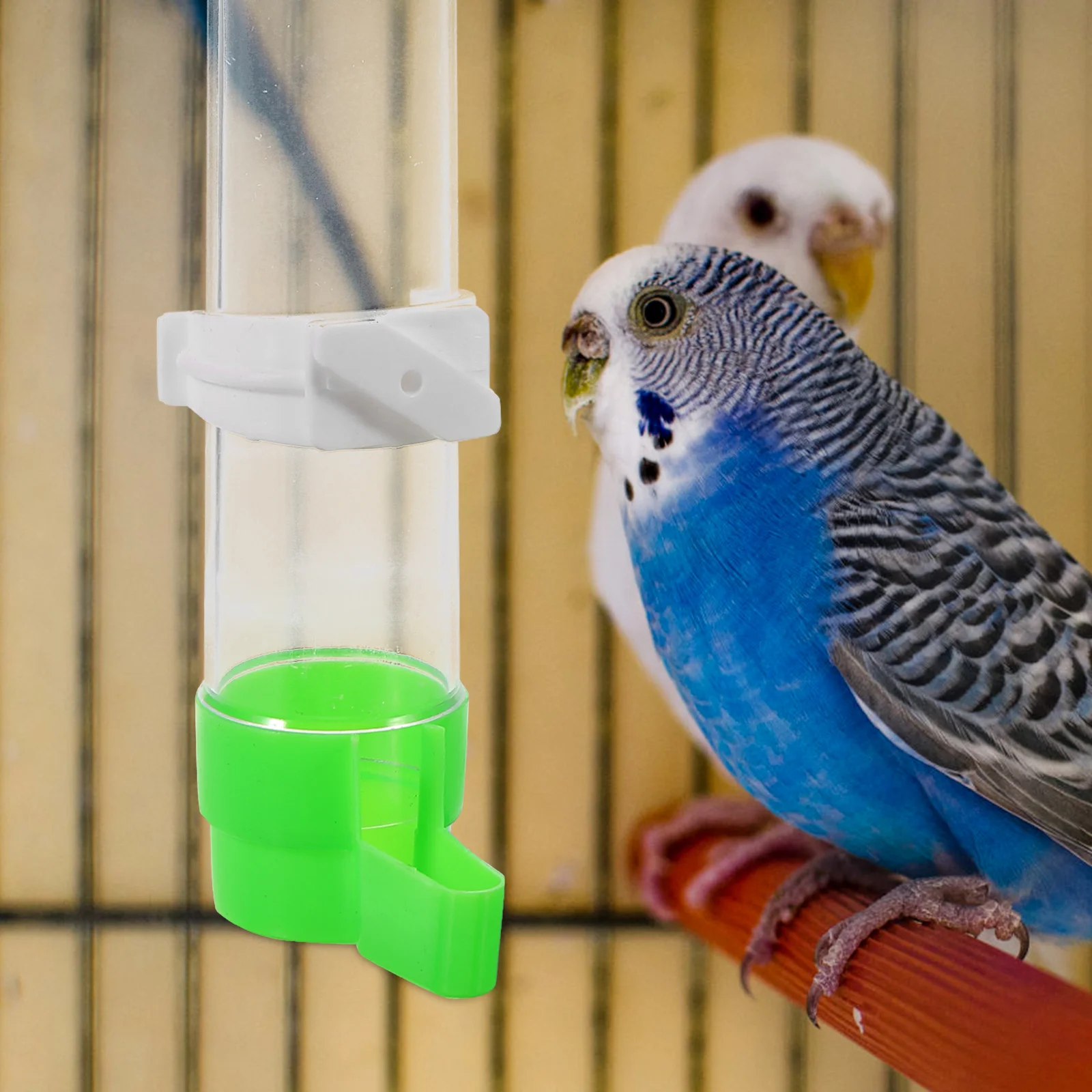 Automatic Bird Waterer Feeder Bird Water Dispenser Feeder Parakeet Waterer Large-Capacity Horizontal Parrot Feeding Supply