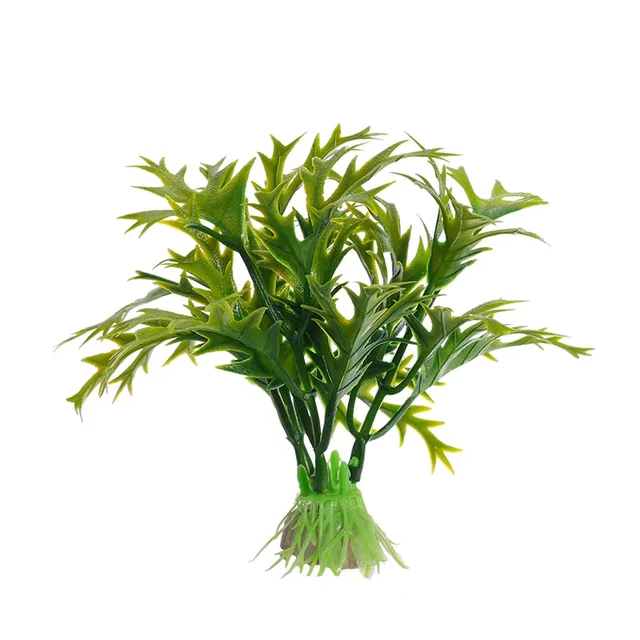 Image 22