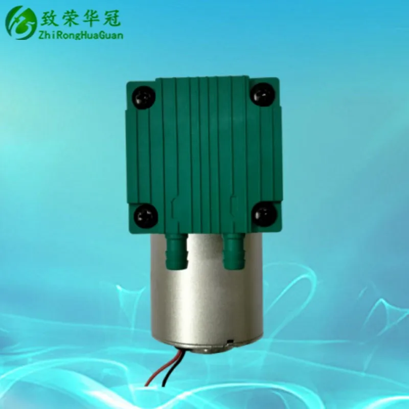 소형 진공 펌프, DC12V, AC110V, 소형 펌프, DC24V, 팽창 펌프, AC220V, 미용 기기