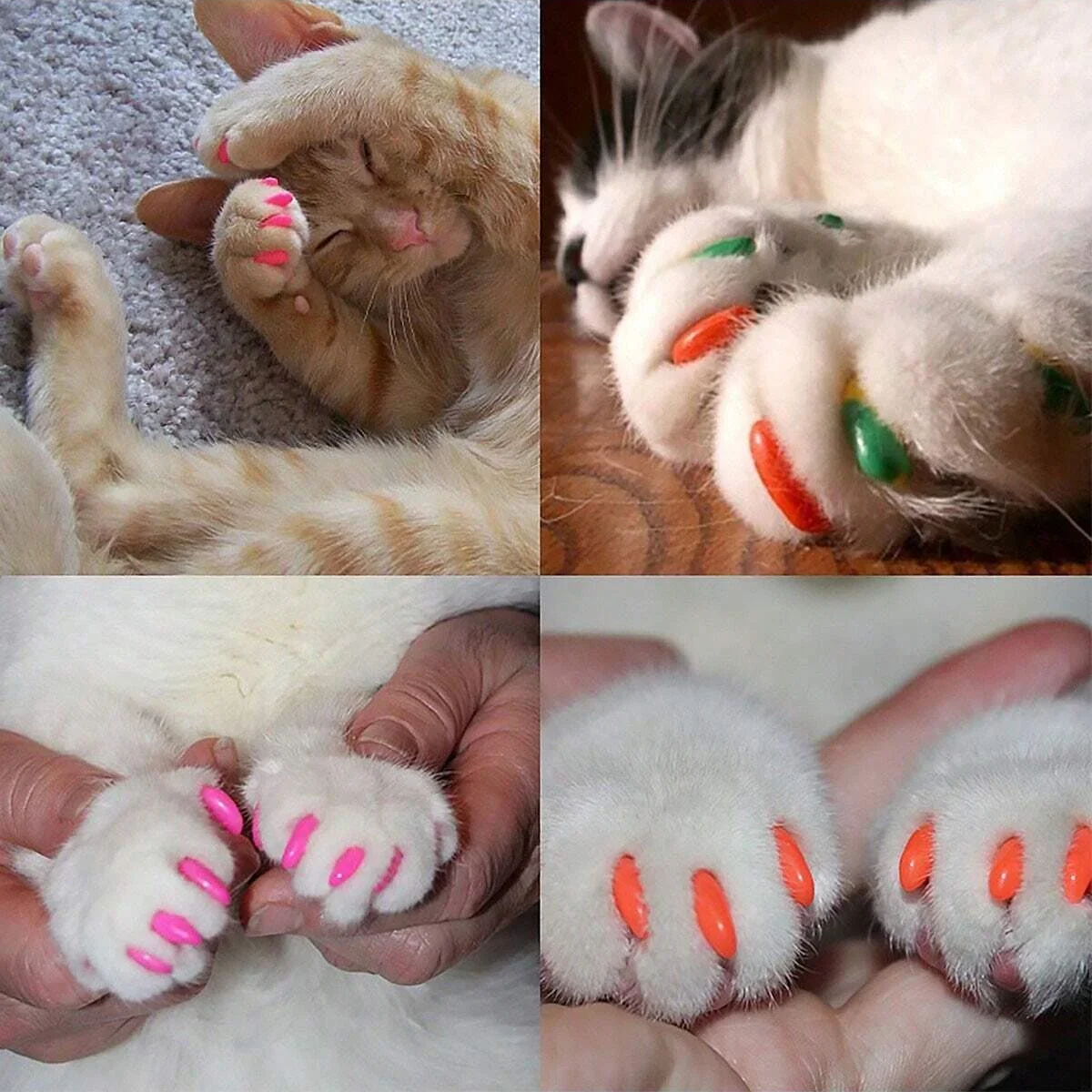 20pcs Random Color Pet Nail Covers Cat Nail Claw Cover Grooming Supplies