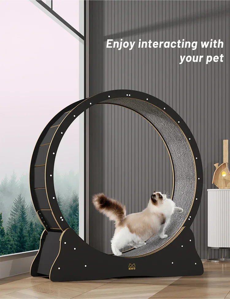 Cat Toy Circle Track Interactive Pet High Quality Wooden Cat Fitness Wheel Running Wheel