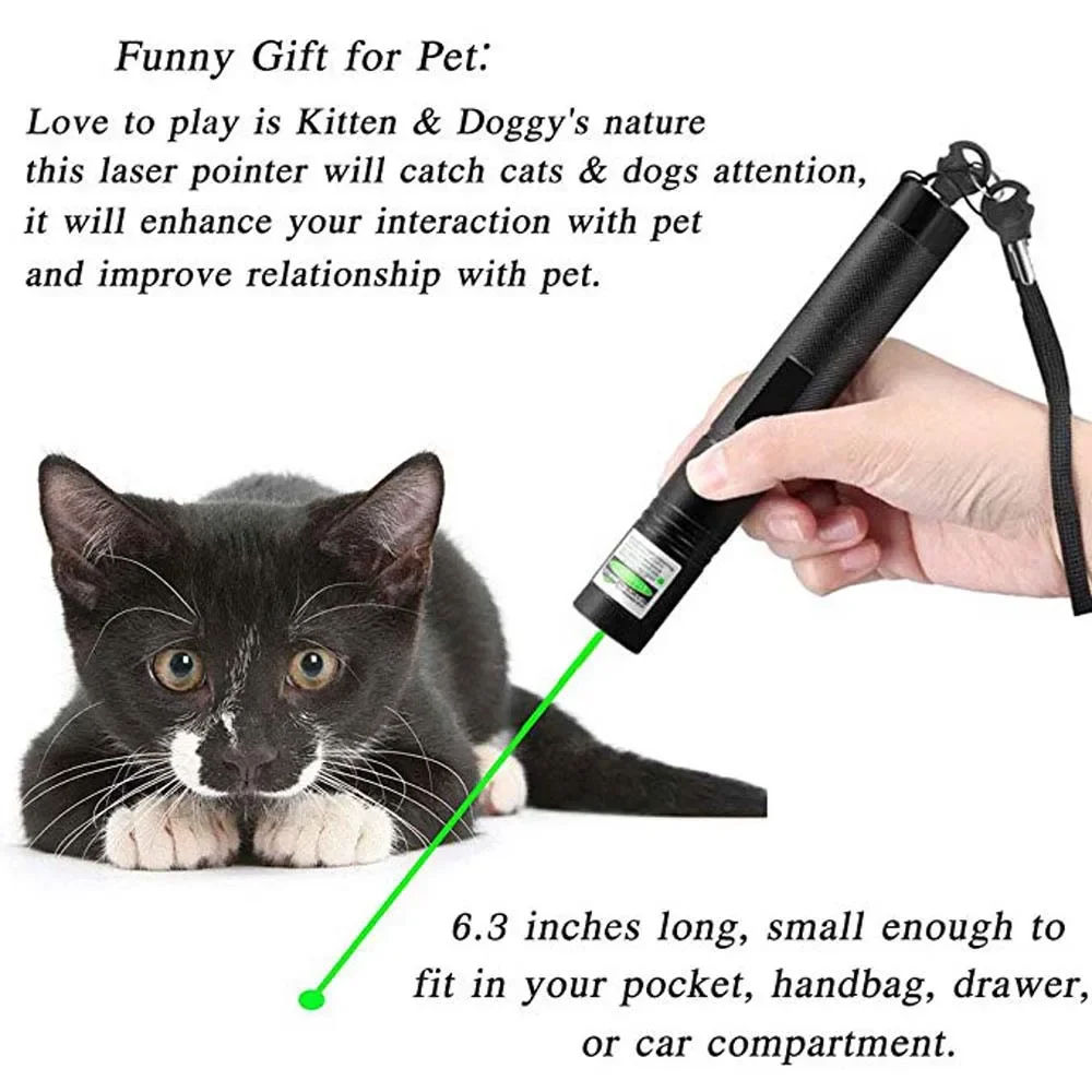 Red Laser Pointer Pen Light Beam Pet Cat Toy Dog Bright 1mW Lazer