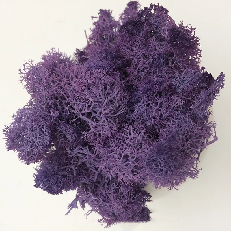 Affordable Artificial Moss Grass for DIY Crafts and Home Decor