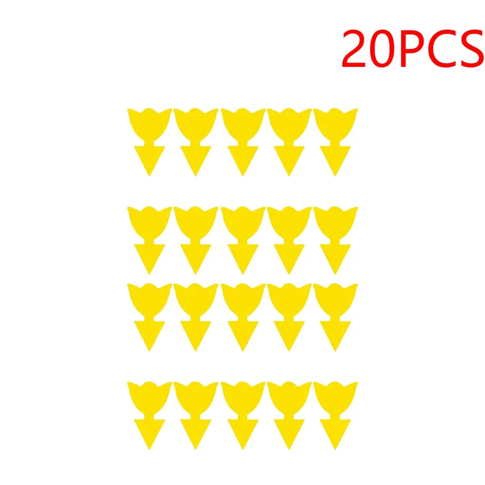 tulips-20pcs