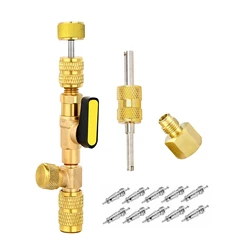 Versatile Valve Core Remover & Installer Kit with Dual - Head Tool and 10 Valve Cores (Gold)