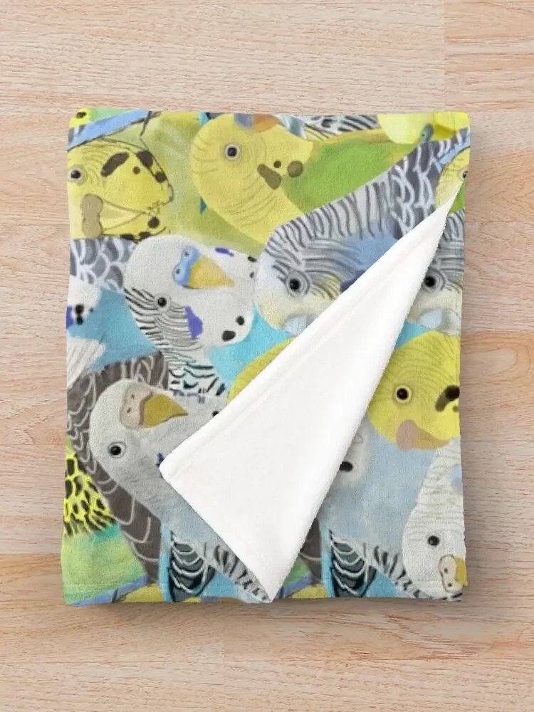 Budgie �޹��� ������ ���, ħ�� ����, ���� ���� ���, ���Ÿ� ������