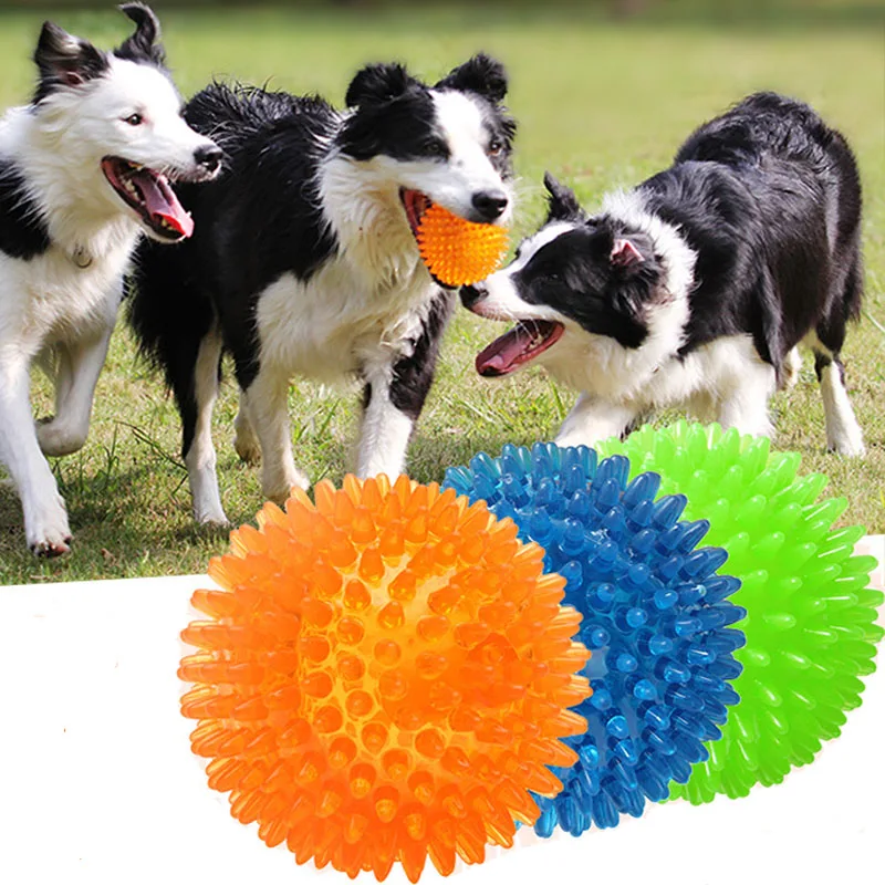 PetDogToysCatPuppySoundingToyTPRSoftBurrToothCleaningElasticBallOutdoorTraining.jpg