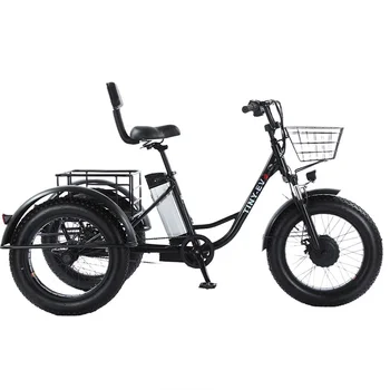 성인용 팻 타이어 전기 자전거, 탈착식, 강력한 48V, 500W 리튬 배터리, 3 휠, 20 인치