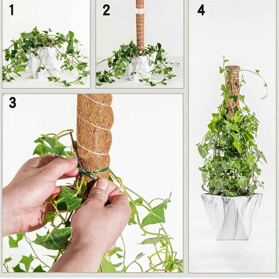 30/40/50cm Plant Climbing Rod Climbing VineCoconut Palm Rod Diy Reusable Stick PlantSupport Moss Palm Vines Stick Extension
