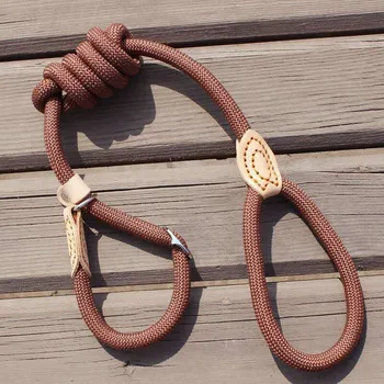 Nylon Dog Leash with Slip Collar – Strong Rope Lead for All Dogs 1