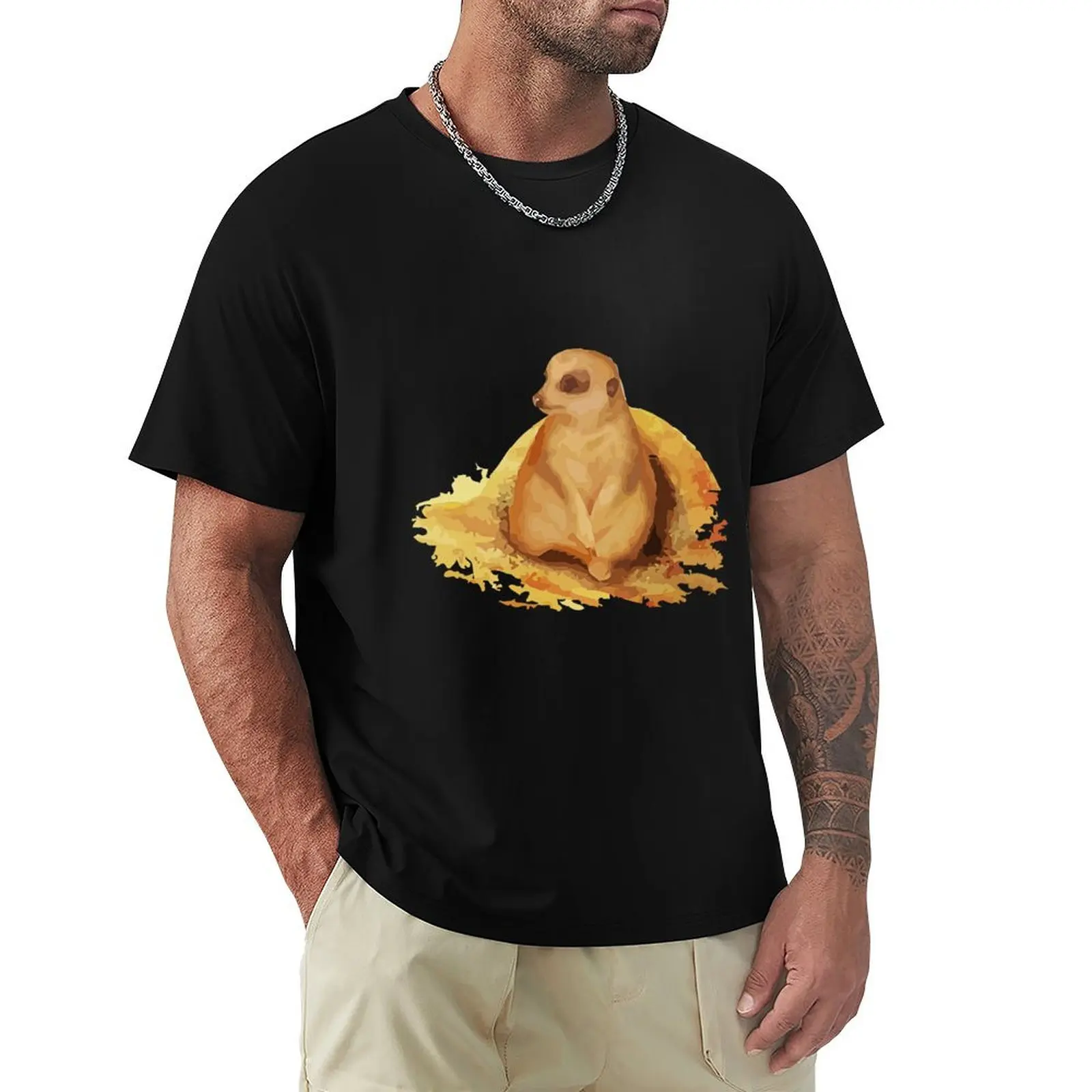 

happy Groundhog day (spring) T-Shirt Short sleeve tee kawaii clothes customs quick-drying mens t shirts casual stylish