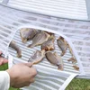 Portable Foldable Drying Net Anti-mosquito Strong and Durable Hanging Drying Net for Dry Goods Vegetable Fruit Herbs Clothing 3
