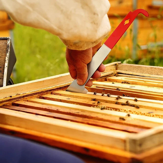 Méhészeti Szerszámok J Formájú Horog Méhész Szerszámkaparó Késkeret -Emelő És Kaparó Rozsdamentes Méhcsalók - Image 4
