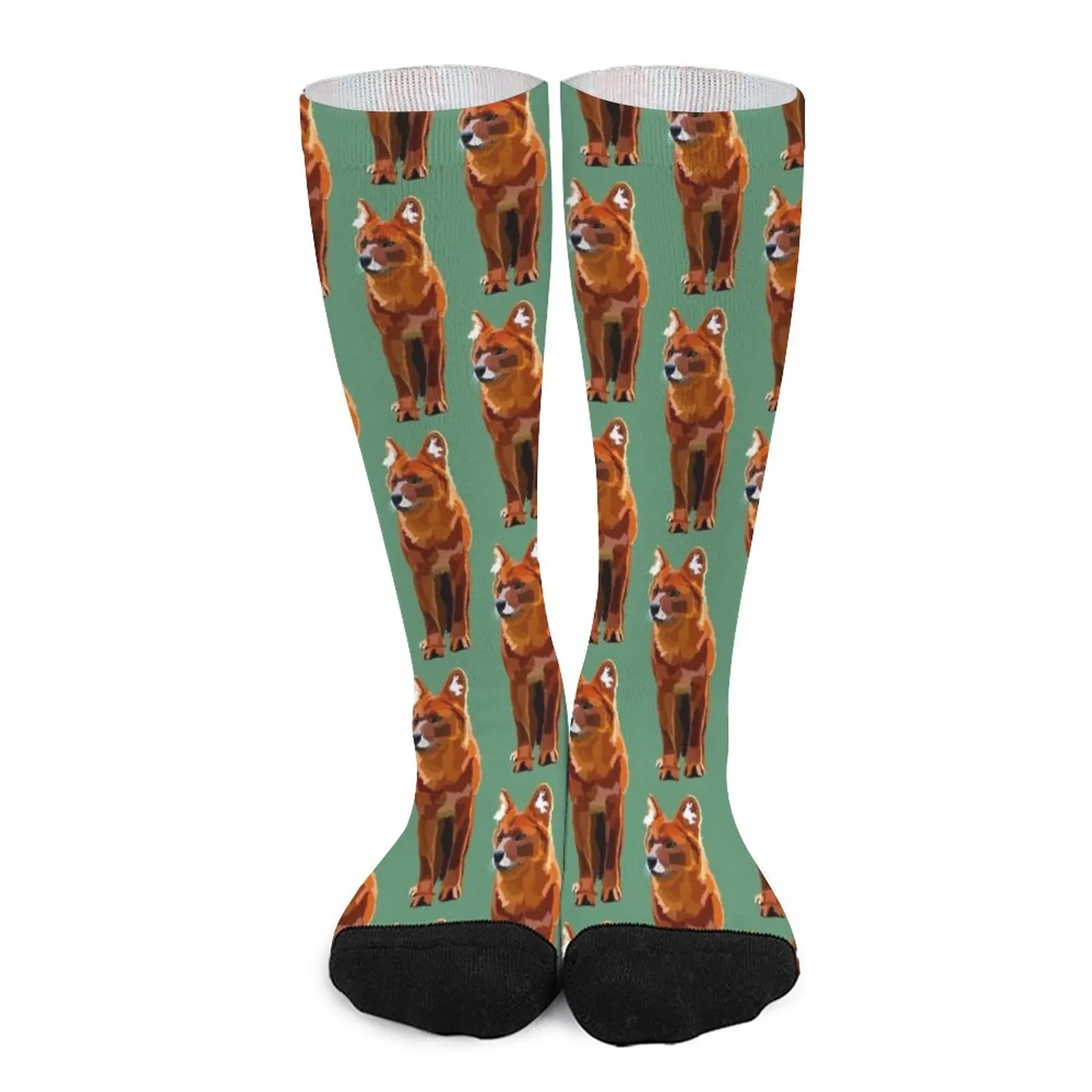 D is for Dhole Socks sport socks sports stockings man