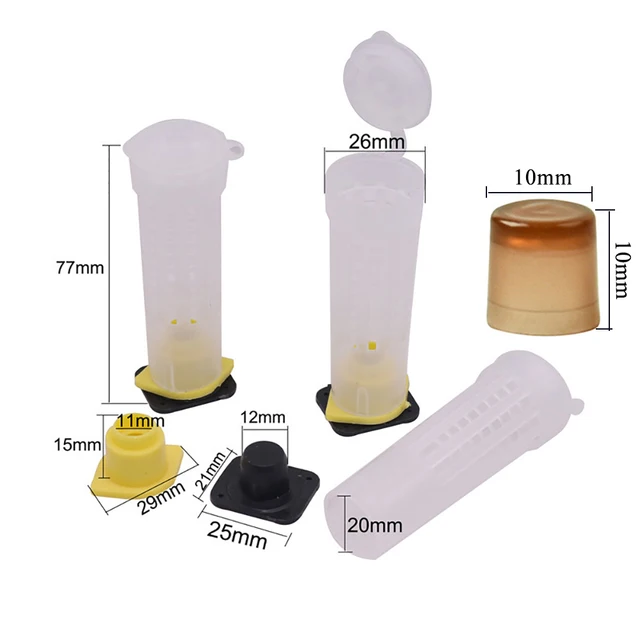 1Set Apikulture Kit Queen Tenyésztés 10Db Védelmi Ketrec Sapkát És 120Db Barna Cellás Lárvát Protect Cover Méhészet Farm Készletek - Image 2