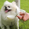 Pets Feeder Bowl Water Dispenser 2 in 1 Portable Food collapsible design portable Cat Outdoor Travel Mushroom Cups Pet Supplies 2