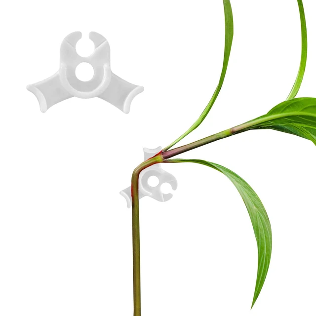 10Db 90 Fokos Növényi Ágak Hajlító Újrahasznosítható Lst Klipek Alacsony Stressz Edzés Vezérlés - Image 2