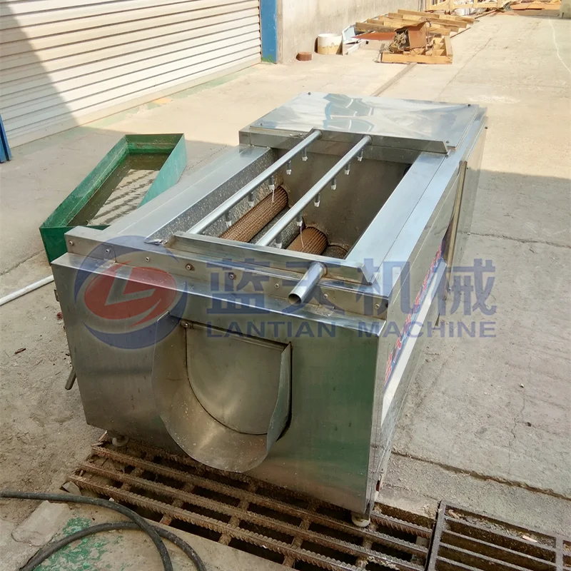 China Industrial Fresh Yam Konjac Washing And Peeling Machine Vegetable Washer Shell Carrot Dates Potato Cleaning Machine 3