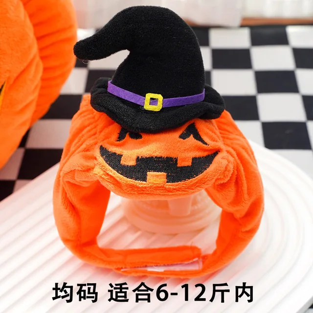 Halloween Costume 6