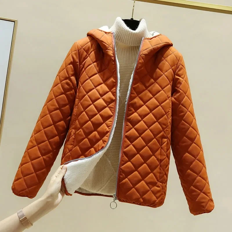 Cotton Coated Women's Winter Korean Version Loose Short Lamb Wool Spliced and Thickened Cotton Coat Large Student Warm Coat P54