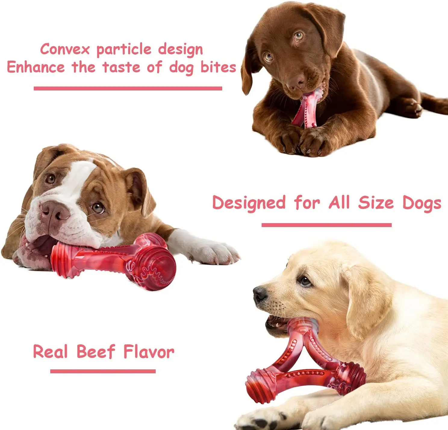 Safe Hard Chew Toys For Dogs