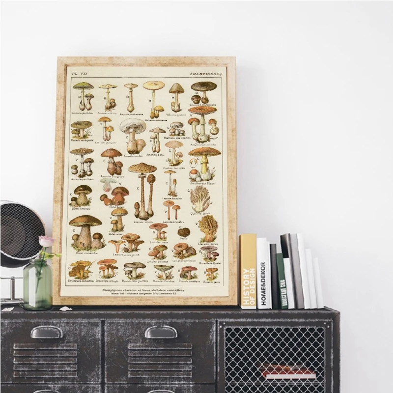 Unframed Paper Mushroom Poster Flower Poster Plant Educational Reference Chart Wall Art Decorations for Classroom