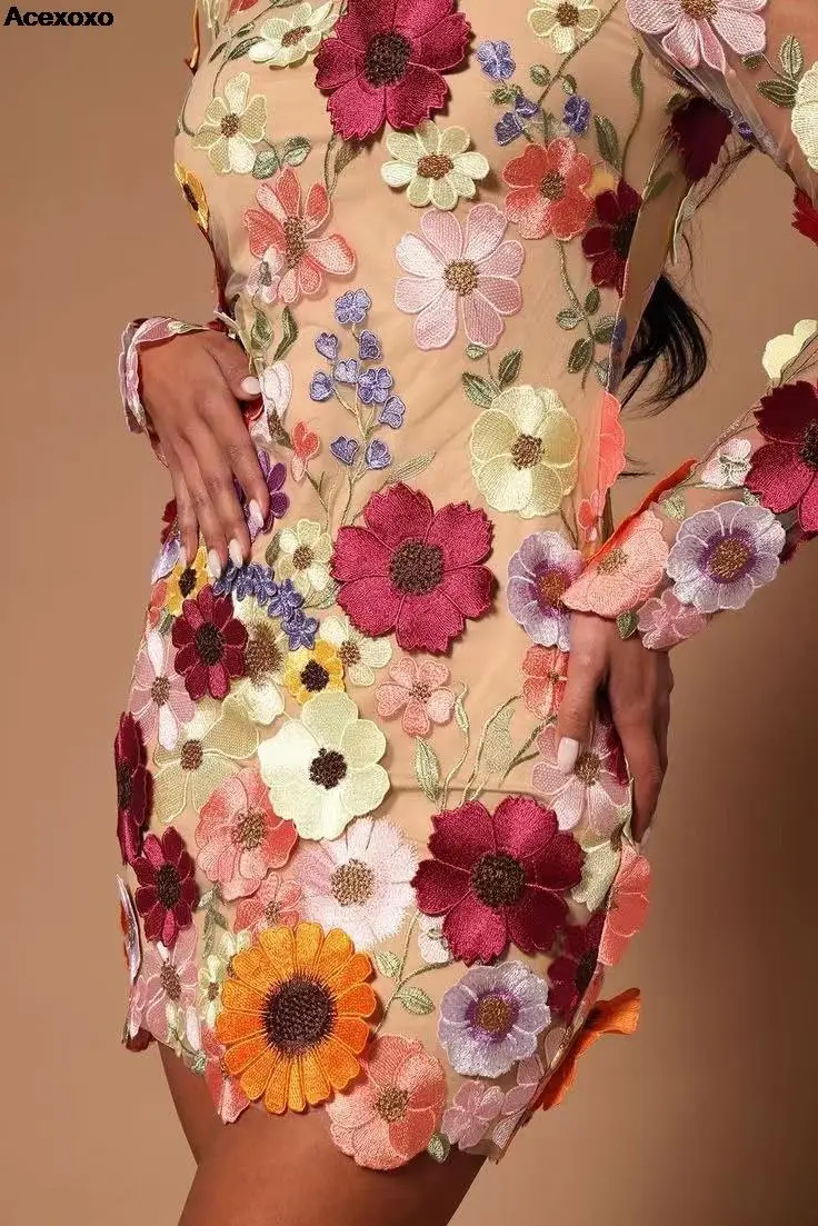 

Spring/Summer 2023 European and American embroidered dress