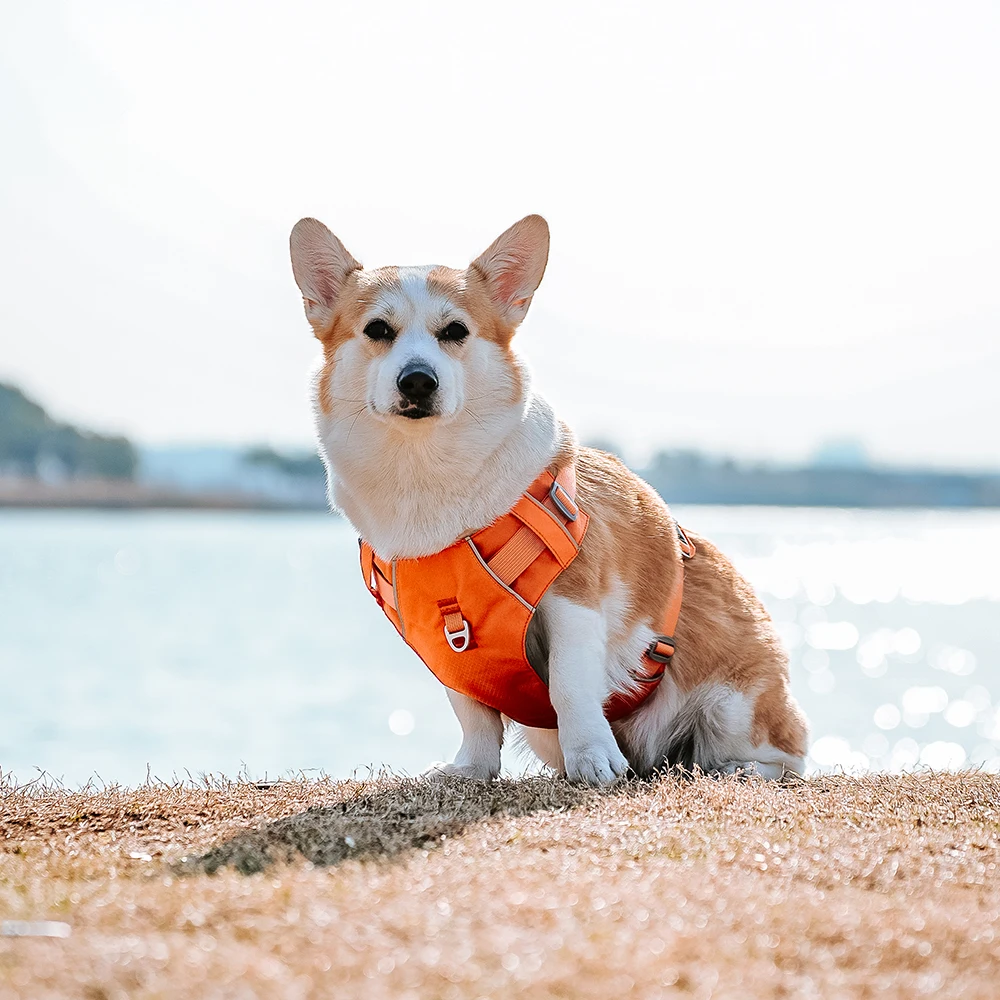 Harnesses Vest Pet Reflective Nylon Walking Running - PeticaDeals