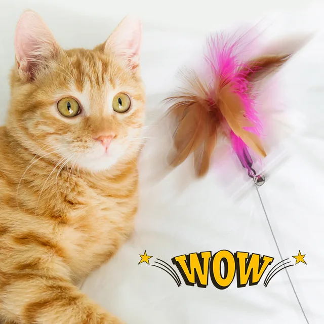 Interactive Cat Toys Funny Feather Teaser Stick with Bell Pets Collar Kitten Playing Teaser Wand Training Toys for Cats Supplies 2