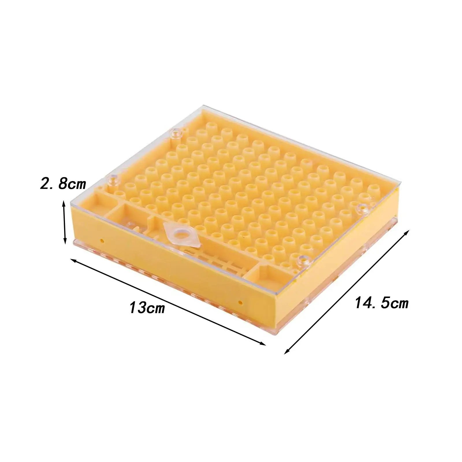 Queen Rearing Box Queen Bee Development Container Beekeeping Rearing Device Multifunction for Outside Gate Apiculture Supplies