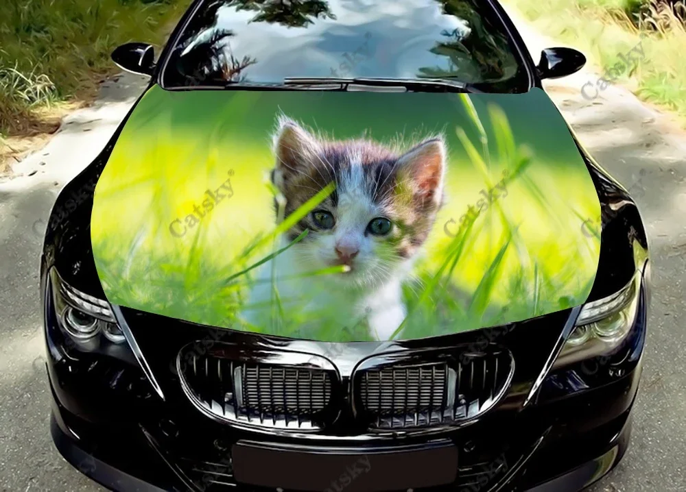 

Animal - Cat Funny Cute Car Hood Vinyl Stickers Wrap Vinyl Film Engine Cover Decals Sticker Universal Car Hood Protective Film
