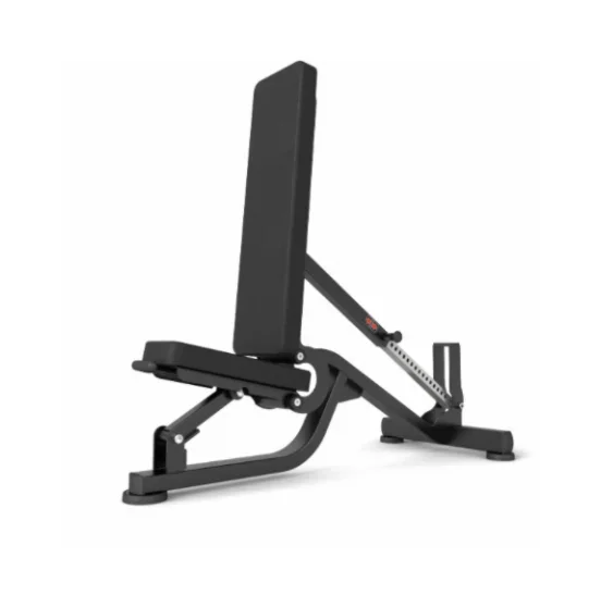 Adjustable Dumbbell Bench Multifunctional Gym Sit Up Bench Adjustable Dumbbell