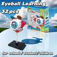3D Eye Anatomical Model Puzzle, Best Toddler Learning Toys, Educational Toys, Aid Students Learning Educational STEM Toy 1