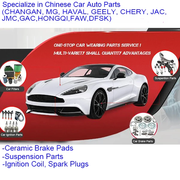 CWP Chinese Car Auto Parts Store Store
