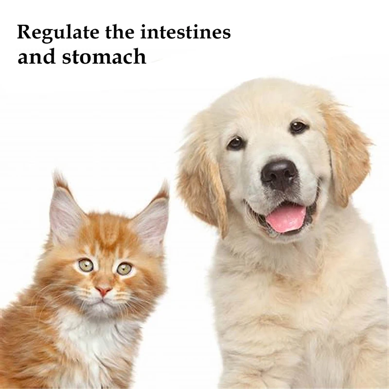 PET Nutrition Probiotics Enhance Physical Fitness Protect Stomach Health Powder Food for Dogs and Cats 10 Bags/Box