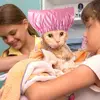 Cat Waterproof  Shower Cap Universal Pet Hat for Bath Dog Shower Cap Comfortable Adjustable Cat Bath Hats Pet Grooming Supplies 2