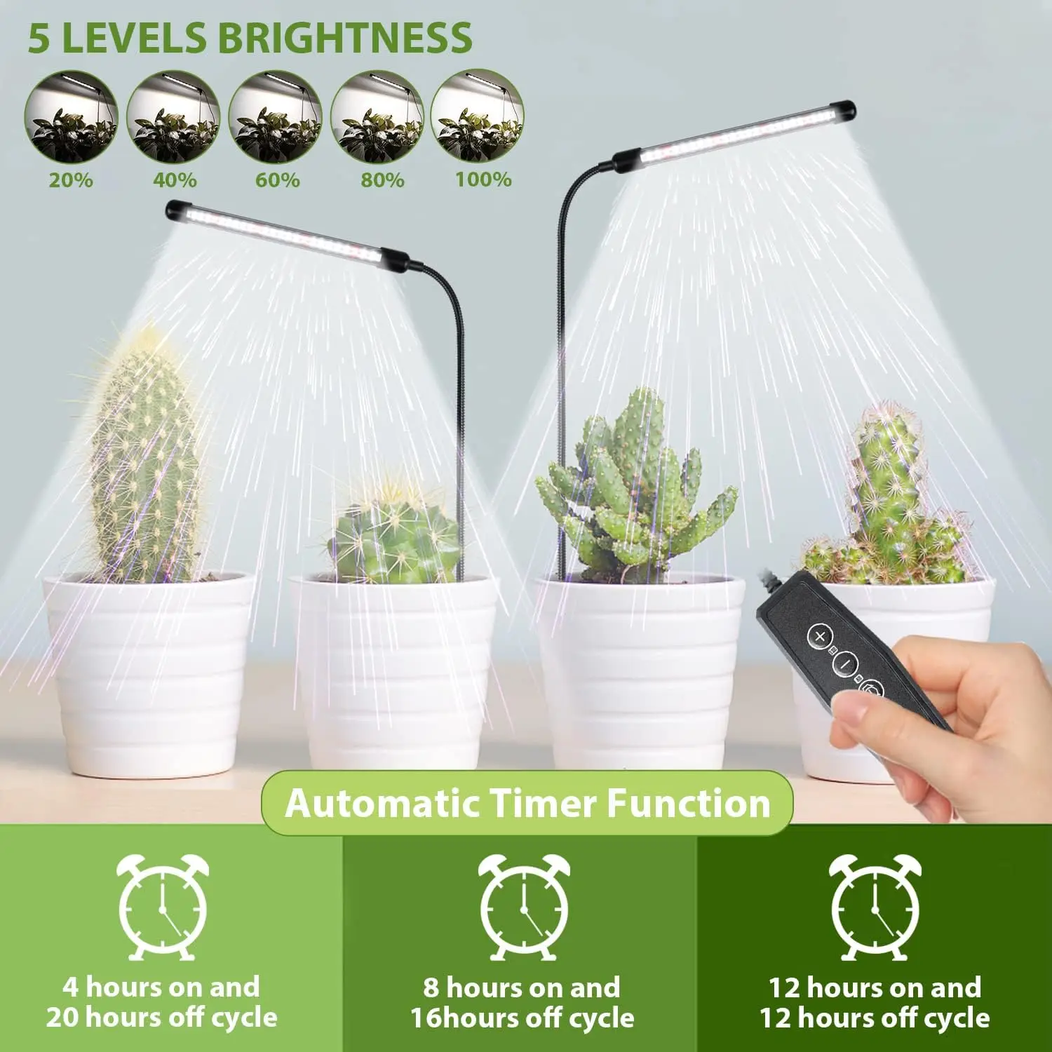 Slide image 8b20173e279947f1a1713e1ba2002f73