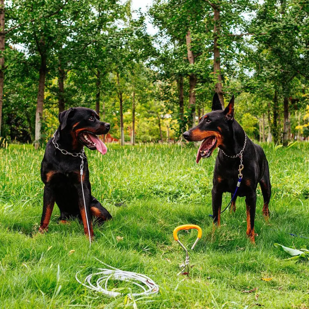 Puppy Spike Anti Rust Dog Stake Secure Escape Proof Convenient Attach to Tie Out Cable Dog Stake