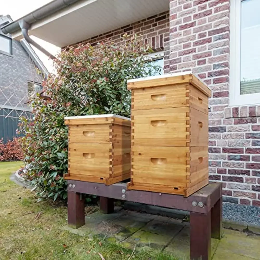 Wooden Bee Hive Kit 10-Frame Coated Beehive Starter Pack Frames Beeswax Foundation Sheets 3 Layer)