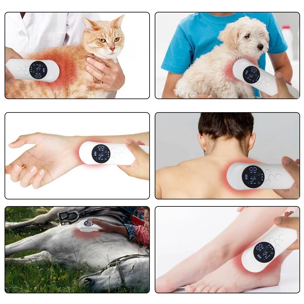 

650nm*14+808nm*3 Pet Cold Laser Therapy Equipment Physical Therapy Otitis Joint Pain Hip Dysplasia Arthritis Wound Healing