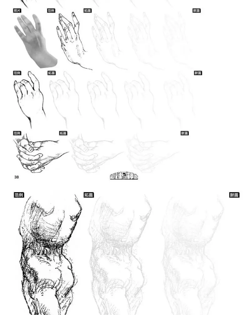 bridgman personagem esboço livro esboço pintura copiar livro estrutura do corpo humano características faciais esboçar cópia tutorial