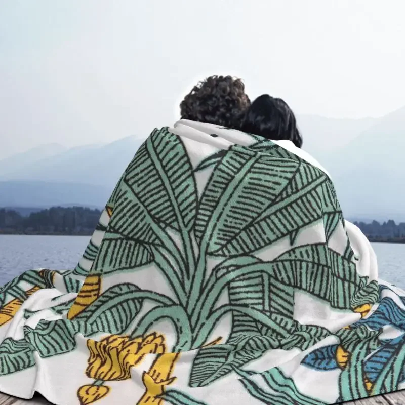 �� �ٳ��� ���� ���� �Ĺ� ���, �ε巯�� ���� ���ö ������ �ö��� ������ ���, ���� ���� ħ�� �̺�