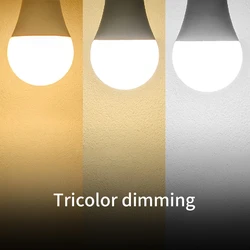 Set of 10 Energy-Efficient LED Bulbs for Indoor Home Lighting - Cool & Warm White Options (Tricolor dimming)
