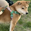 Adjustable Color Blocking Design Dog Harnesses Waterproof  PVC Walking Leash Rope Chest And Back Set For Dog Outdoor Training 3
