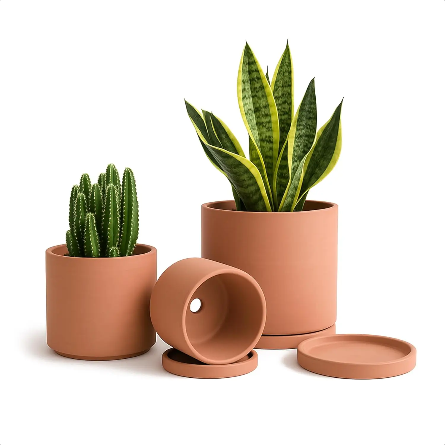Terracotta plant pot close-up